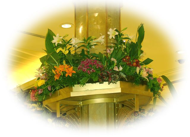 Blomster1